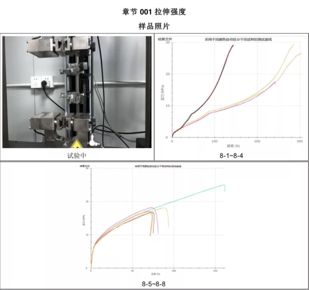 羅利普斯的高彈性測(cè)試